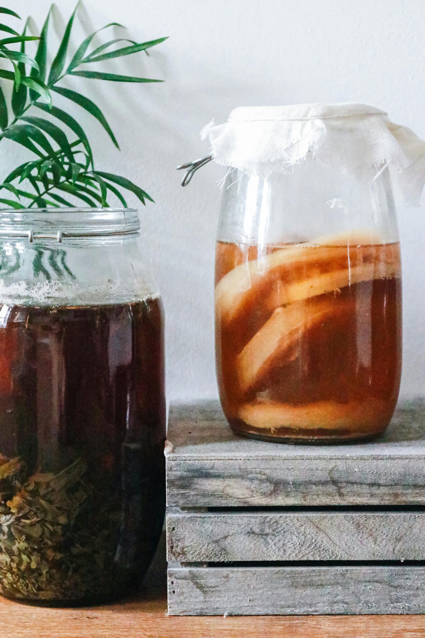 Cómo Hacer Kombucha Casera: Guía Completa Paso a Paso